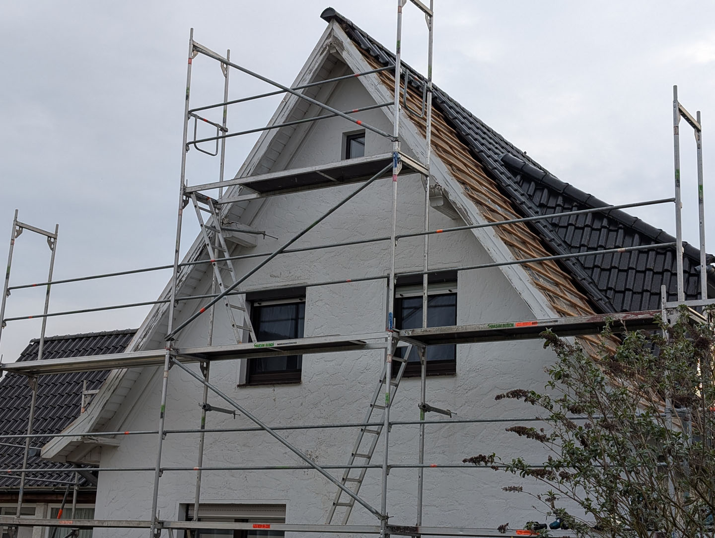 PXL_20250324_072925387